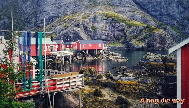 Isole Lofoten 3