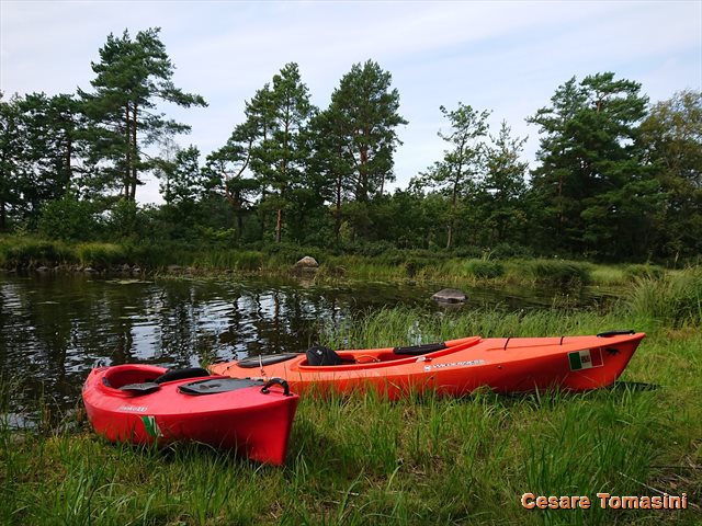 2019 Canoe