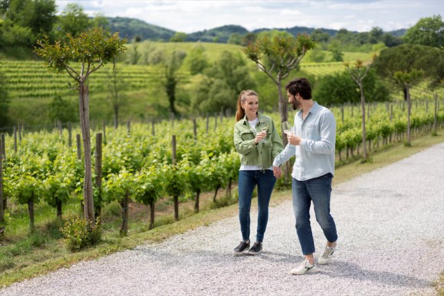 Strada dei Vini e dei Sapori del Friuli Venezia Giulia 