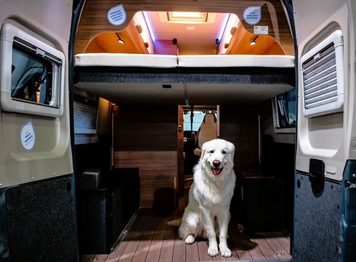  DSC6892 cane camper