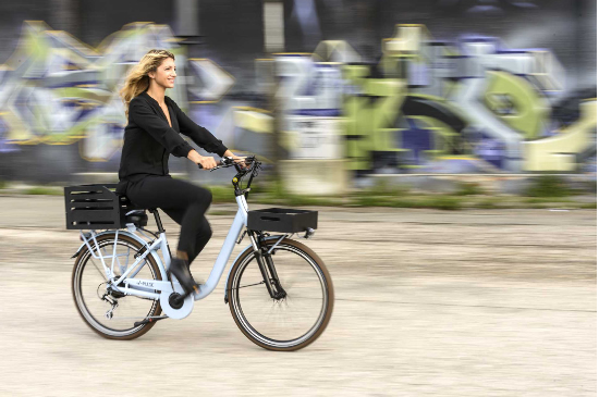 mbm ebike tof2019