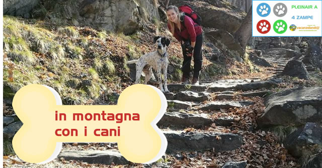 montagna con cani pleinair 4zampe def