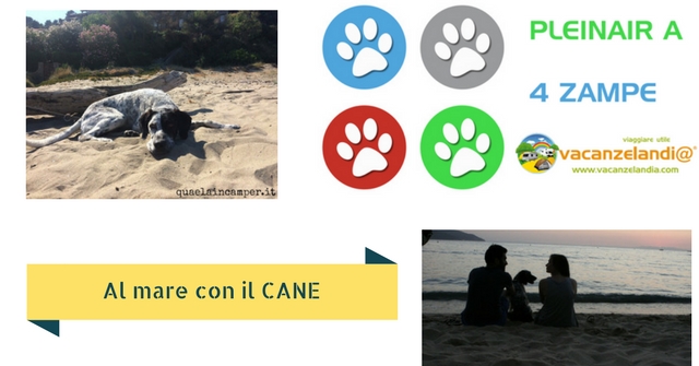 mare con il cane