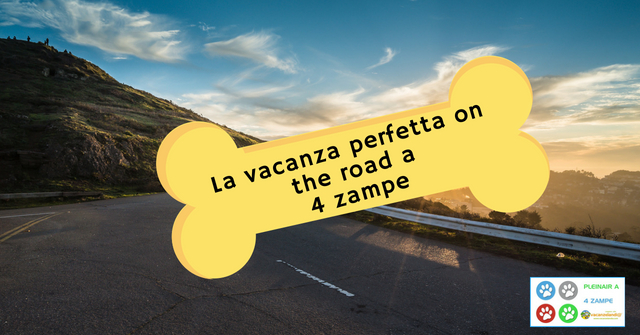 vacanza pefetta 4 zampe