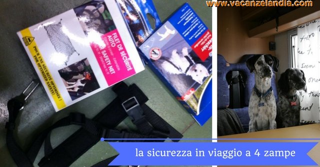 sicurezza viaggio 4 zampe