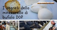 mozzarella bufala campana dop caseificio ok 200s