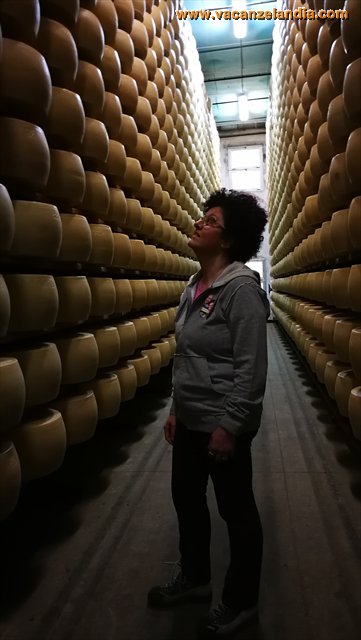 visita parmigiano reggiano