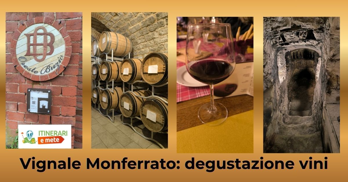 vignale degustazione vini