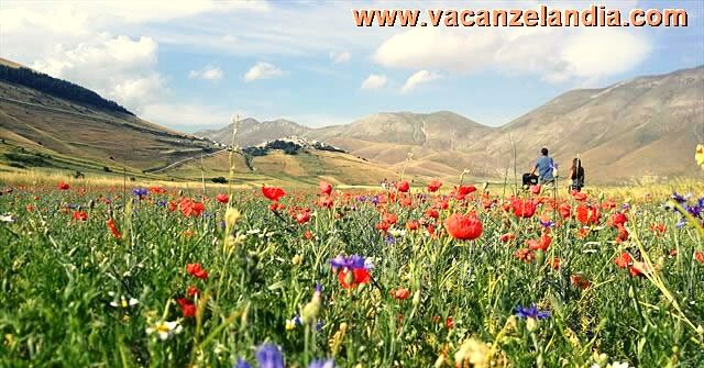 castelluccio copertina2019