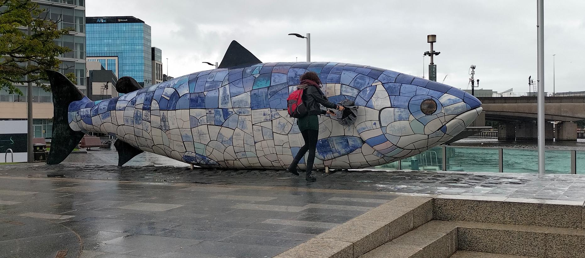 belfast big fish