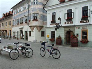 43 radovljica