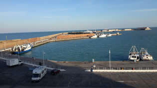 termoli 1 315s