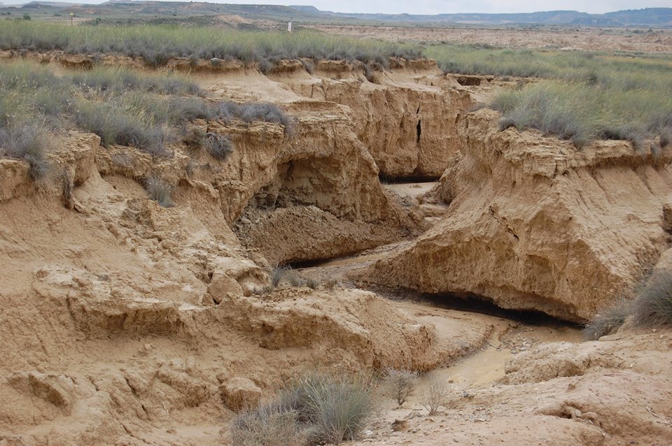 Bardenas Reales dopo la pioggia