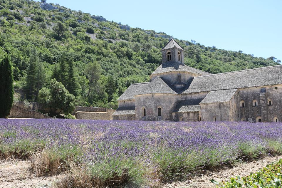 Senanque Abbazia e lavanda