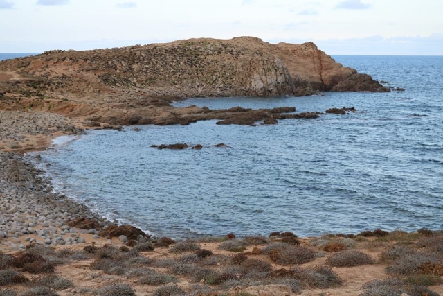 sardegna punta pecora