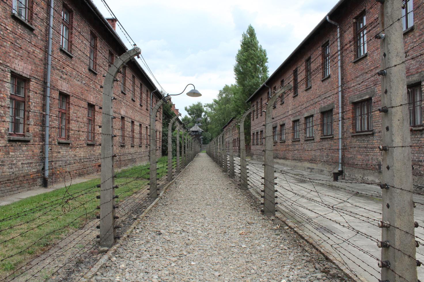 auschwitz prospettiva