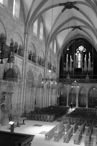 Basilea_cattedrale
