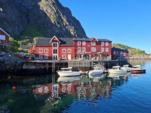 reine