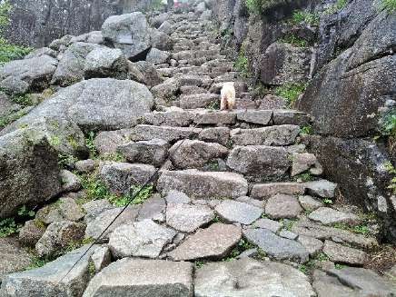 salita preikestolen
