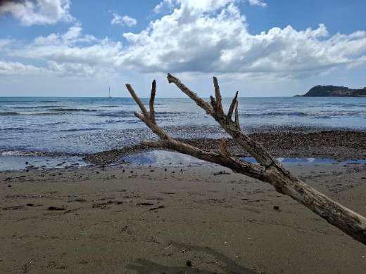 spiaggia feniglia