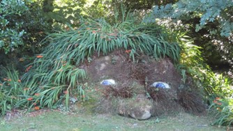 The Lost Gardens of Heligan