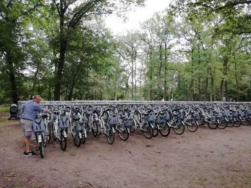 Parco di De Hoge e le sue biciclette