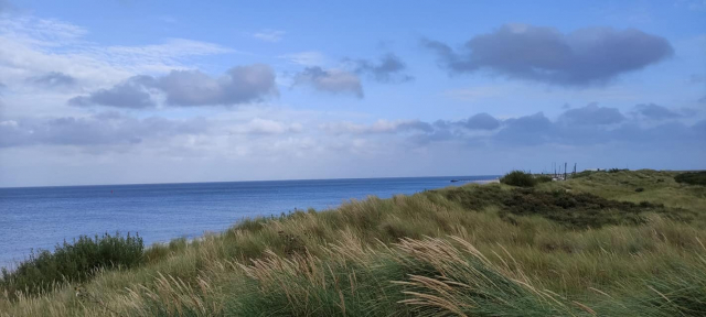 isola texel