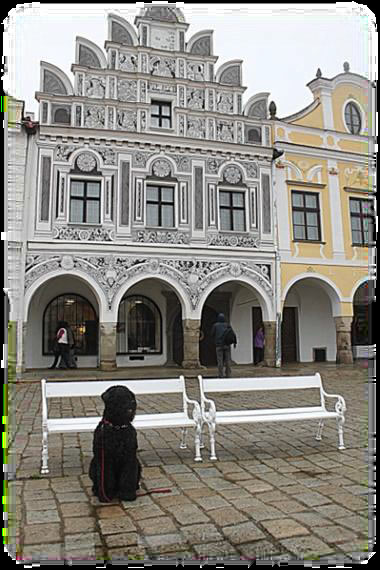 telc scorcio 1