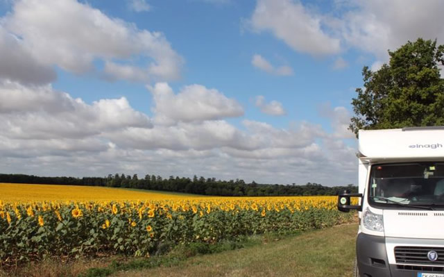 francia camper girasoli