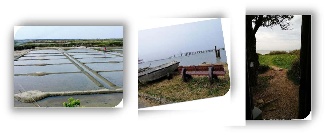 Francia saline guerande