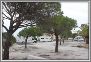 francia Bormes les Mimosas Faviere