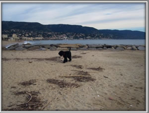 francia la faviere alma spiaggia
