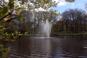 olanda parco di Keukenhof scorcio