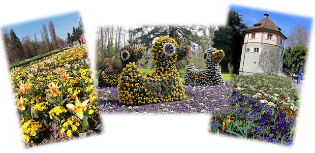 isola mainau collage