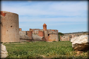 4 francia fortezza salses