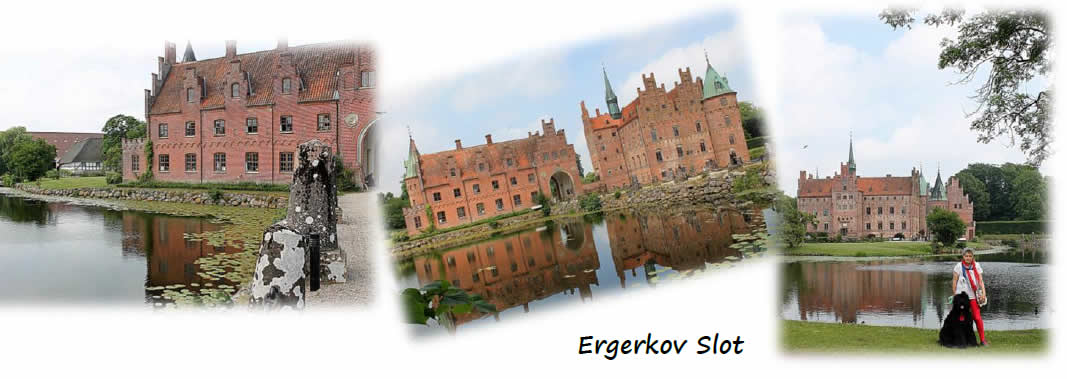 danimarca Ergerkov Slot