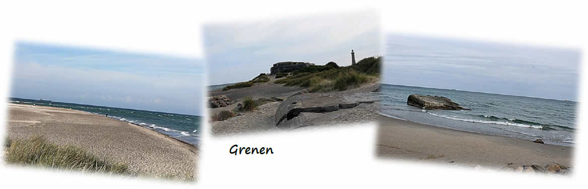 danimarca grenen