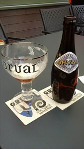 05 belgio