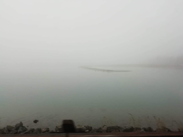 fvg nebbia