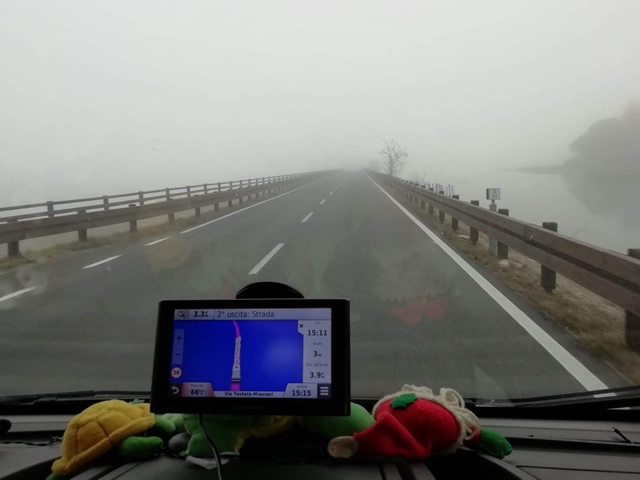 fvg nebbia navigatore