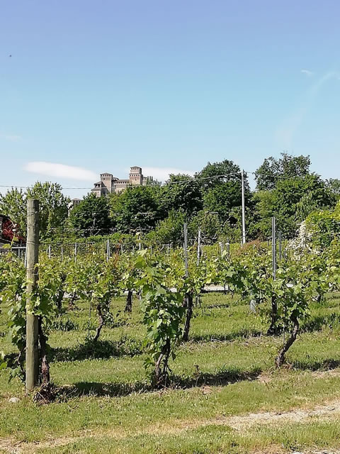 torrechiara