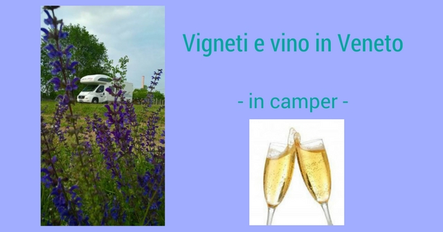 vigneti vino camper veneto