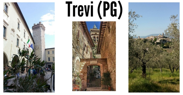 trevi