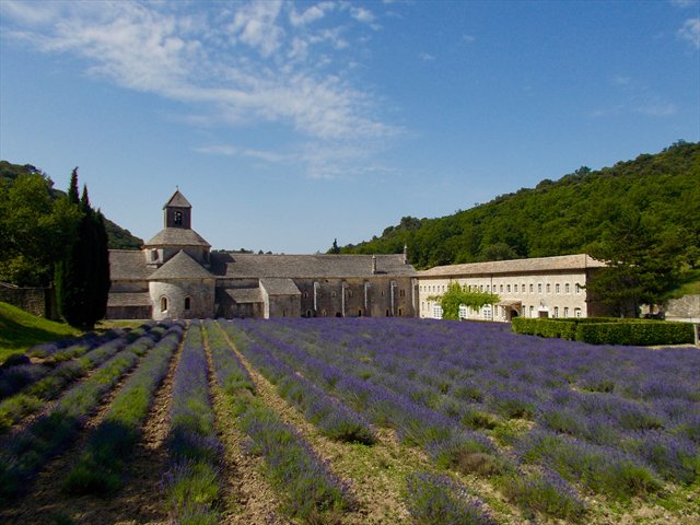 ABBAZIA1