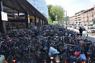 olanda biciclette 320