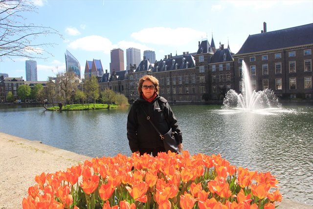 Den Haag lago Hofvijver