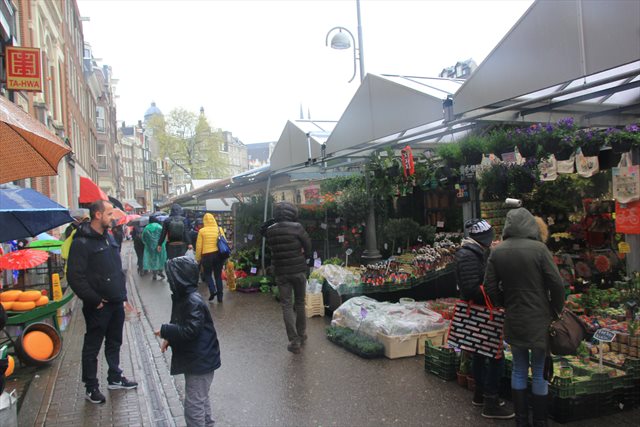 amsterdam mercato fiori