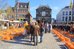 gouda mercato formaggio