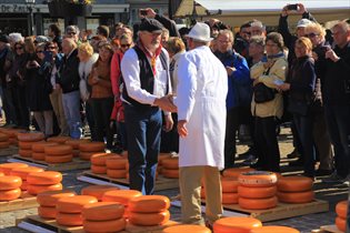 gouda mercato formaggio 1