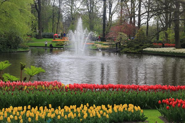 parco Keukenhof aiuola